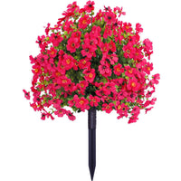 Rose Red